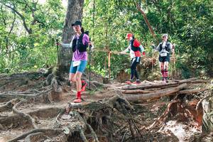 BIB: 
                            <button type="button" onclick="openModal(27719329)" class="btn btn-primary btn-sm float-right btn-popup" data-toggle="modal" data-target=".modal-high-quality">
                        <i class="fas fa-shopping-cart"></i> Add to Cart
                    </button>
                                            <button type="button" onclick="isThisMe(27719329, true)" class="btn btn-success btn-sm float-right btn-popup btn-isme hidden" data-toggle="tooltip" data-placement="bottom" title="นี่คือรูปของคุณใช่ไหม คลิกที่นี่เพื่อเอาเข้าอัลบั้ม">
                        <i class="fas fa-plus"></i> Add to album
                    </button>
                    <button type="button" onclick="isThisMe(27719329, false)" class="btn btn-warning btn-sm float-right btn-popup btn-isnotme hidden">
                        <i class="fas fa-ban"></i> Remove from album
                    </button>